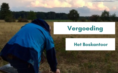 Vergoeding voor het coachtraject